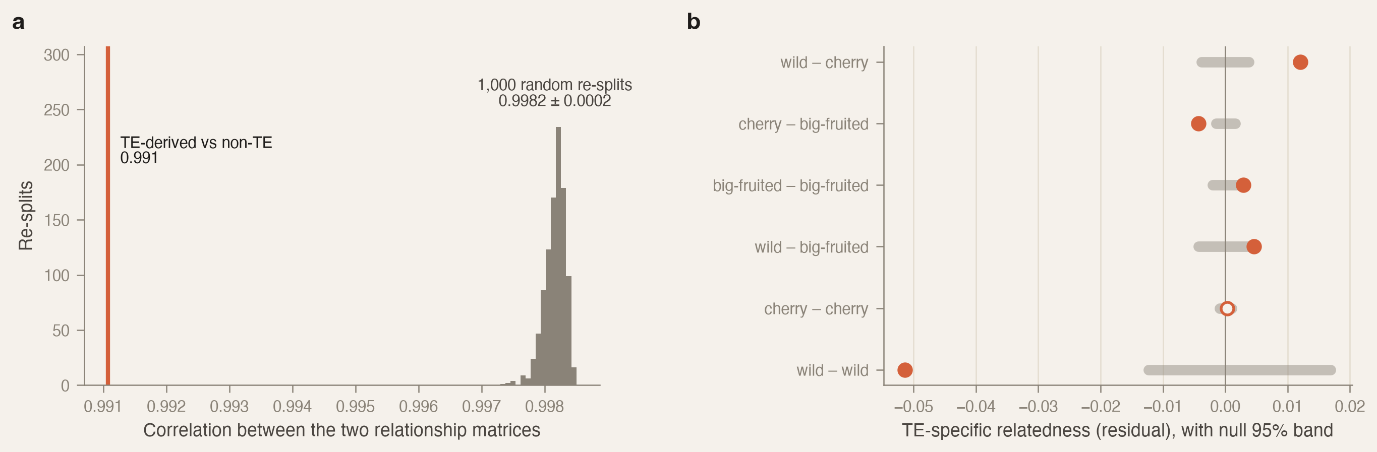 Two panels. a: a histogram of 1,000 random re-splits of the matched variants, tightly clustered around a correlation of 0.998, with the observed correlation between TE-derived and non-TE relationship matrices, 0.991, marked far to the left. b: residual TE-specific relatedness for six pairs of groups, each with a gray null band; wild–cherry lies above its band, cherry–big-fruited below, and cherry–cherry inside.