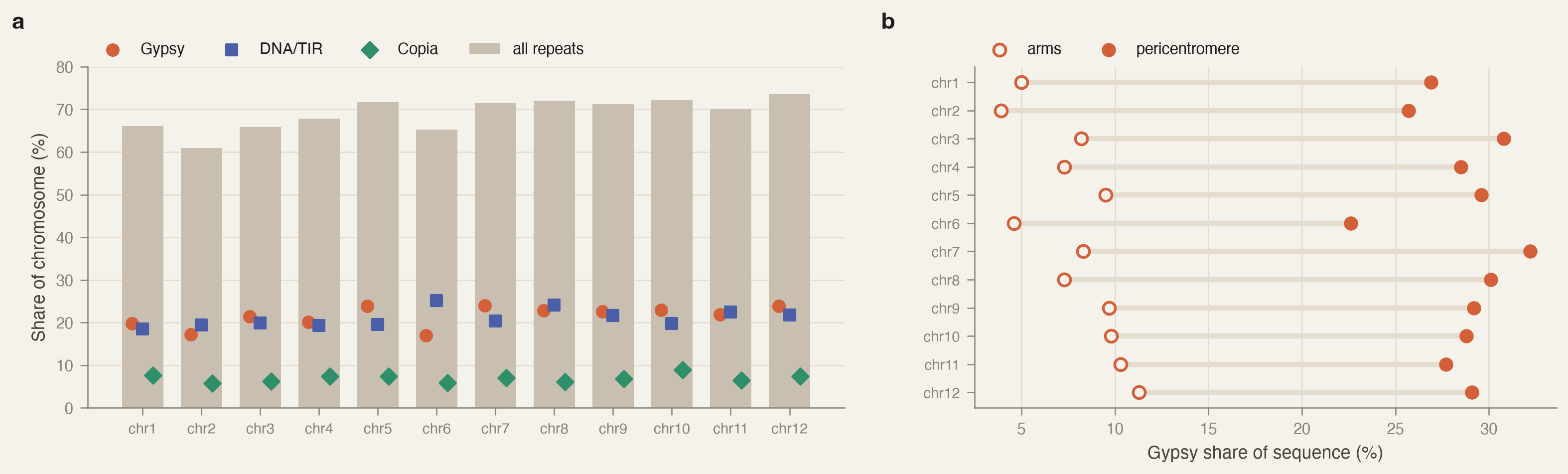Two panels. a: for each of the 12 chromosomes, a bar for the share of all repeats (61 to 74%) with markers for Gypsy, DNA transposons and Copia; Gypsy and DNA transposons each sit near 20%, Copia near 7%, with chromosome 6 lowest in Gypsy and highest in DNA transposons. b: for each chromosome, Gypsy's share of sequence in the arms (4 to 11%) joined to its share in the pericentromere (23 to 32%).